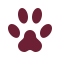 paw